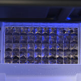 Ice Cube Maker
